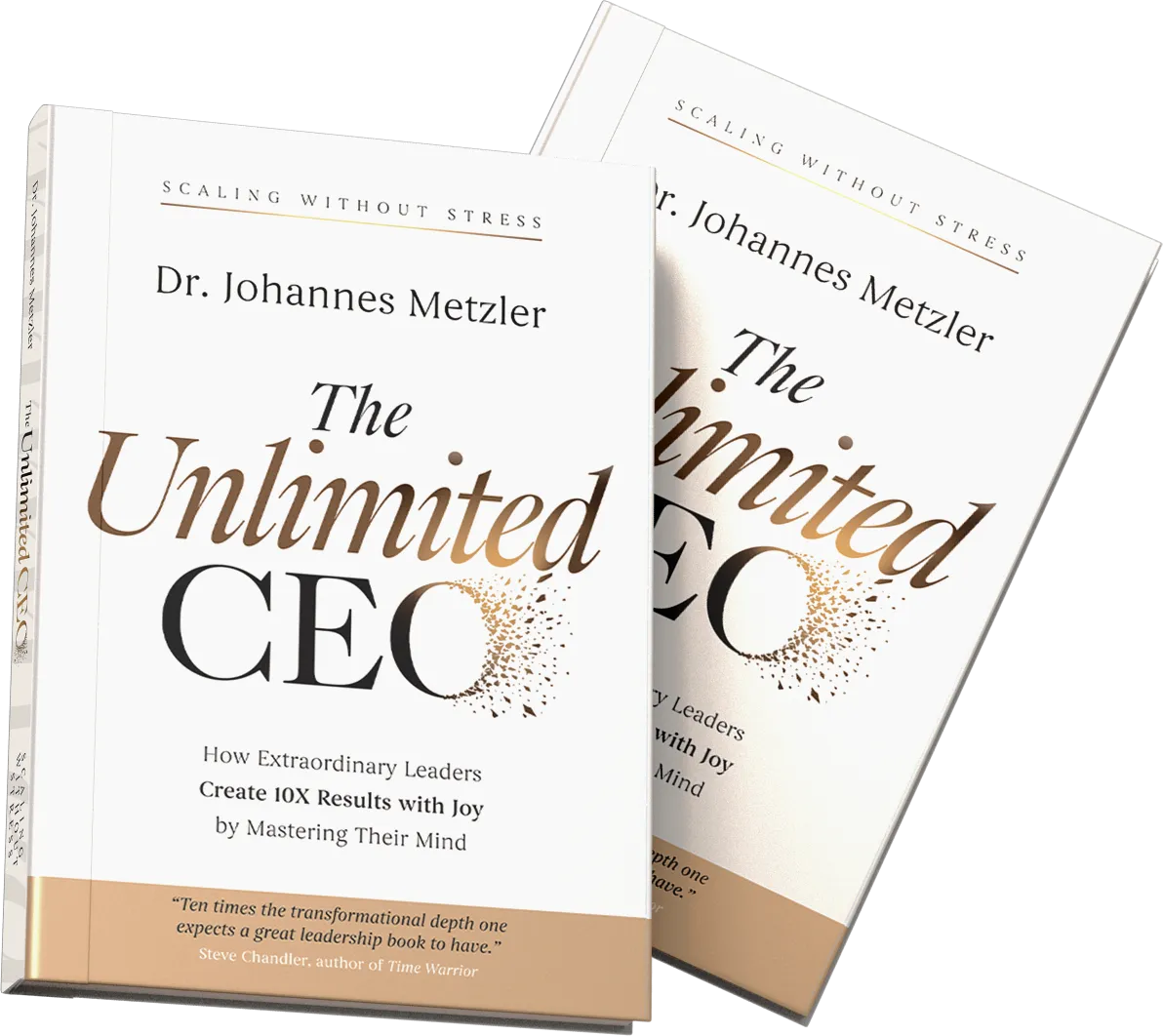 The Unlimited CEO by Dr. Johannes Metzler &mdash; paperback edition
